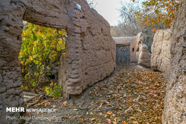 İran'da sonbahar fotoğrafları