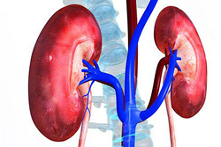 آسیب‌های کلیوی سن و سال نمی‌شناسد