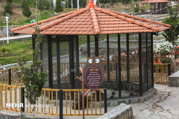 First bird garden in Qom inaugurated on Saturday 