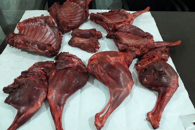 انجام ۵عملیات محیطبانی در شاهرود و میامی/ شکارچیان دستگیر شدند انجام ۵عملیات محیطبانی در شاهرود و میامی/ شکارچیان دستگیر شدند