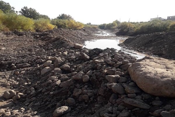  شناسایی بیش از ۴۰۰ مورد «رودخانه خواری» در قزوین