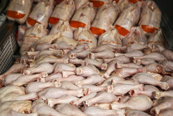 قیمت گوشت مرغ گرم ۲۰ هزار و ۴۰۰ تومان است / جهادکشاورزی بازار نهاده را تنظیم کند