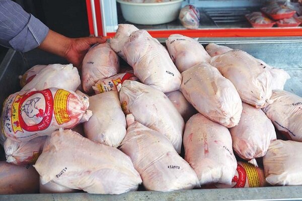 ۴۰ تن مرغ منجمد در چهارمحال و بختیاری توزیع می شود