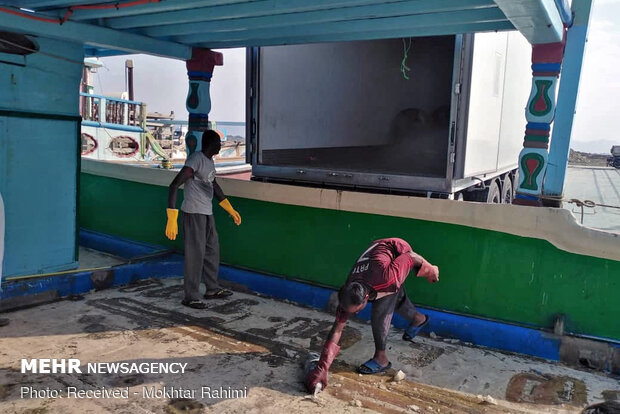 تخلیه صید لنج های آبهای دور در سیریک - هرمزگان