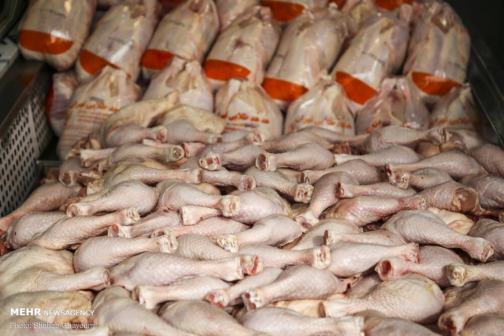بازار استان تهران با تامین روزانه یک هزار تُن مرغ اشباع می شود