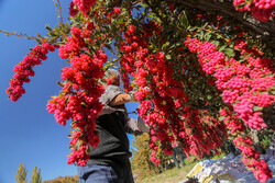Backing export of agri. products top on gov. agenda