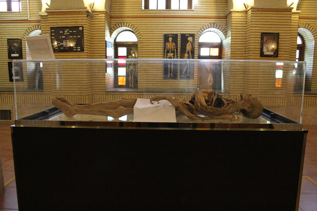 زن نمکی مومیایی‌شده در موزه/ بازهم تخریب بنای تاریخی در تهران