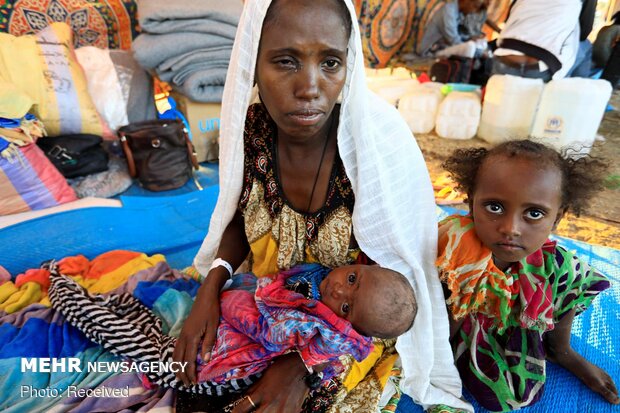 ‘Tens of thousands’ could die of starvation in Tigray