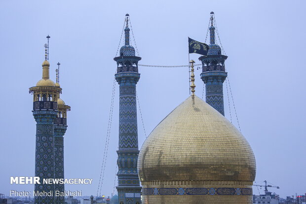 زعفران نمک‌زار را ببینید