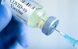 بالا بودن تعداد آنتی بادی های حاصل از واکسن کرونا تا ۶ ماه