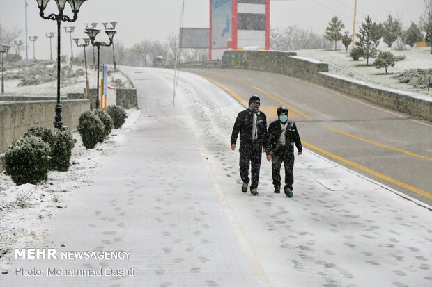 اردبیل رخت سپید بر تن کرد