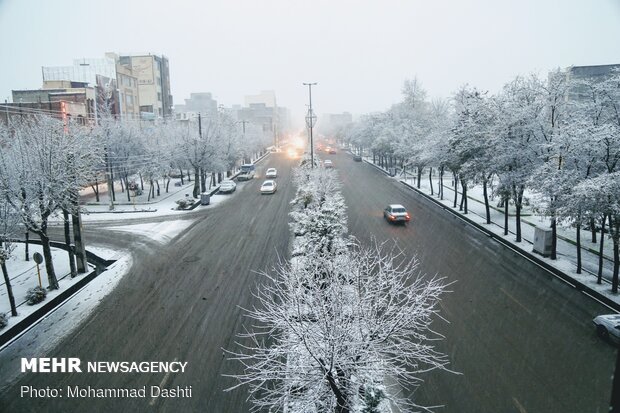 اردبیل رخت سپید بر تن کرد