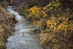 Astonishing scenery of autumn in Sanandaj