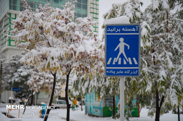 بارش سنگین برف نقاط مختلف استان زنجان را سفید پوش کرد