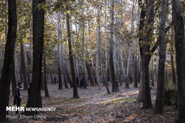 Astonishing scenery of autumn in Sanandaj
