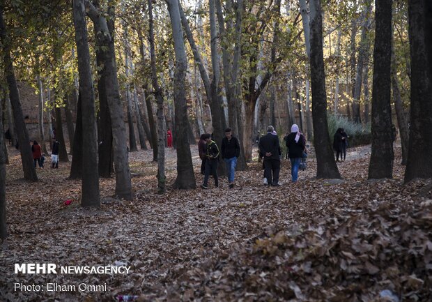 Astonishing scenery of autumn in Sanandaj
