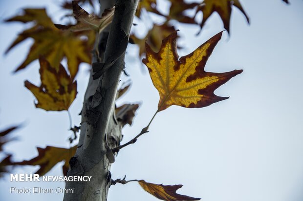 Astonishing scenery of autumn in Sanandaj
