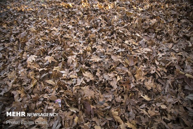 Astonishing scenery of autumn in Sanandaj
