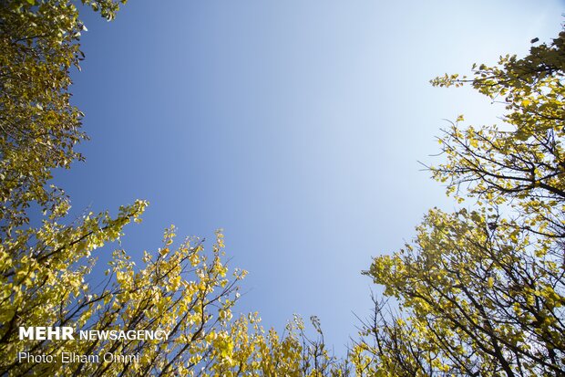 Astonishing scenery of autumn in Sanandaj
