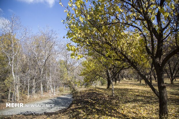 Astonishing scenery of autumn in Sanandaj
