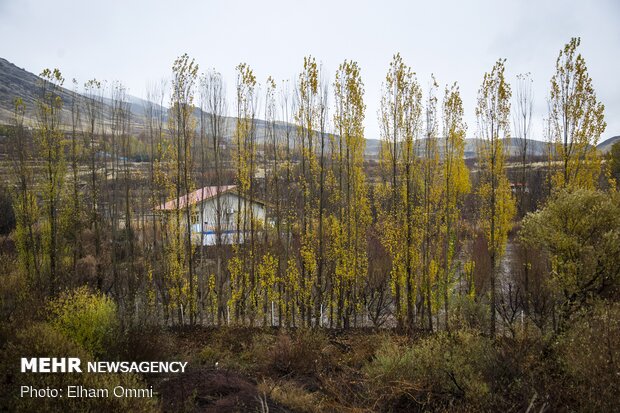 Astonishing scenery of autumn in Sanandaj
