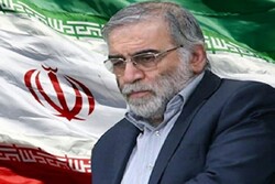 واکنش‌های بین‌المللی به ترور دانشمند هسته‌ای ایران/ حزب‌الله: ایران پاسخ ترور «فخری زاده» را می دهد