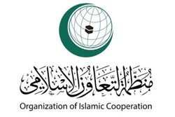 OIC has great capacity to help realize Islamic unity: FM spox