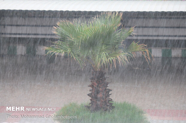 بارش باران در استان فارس آغاز شد