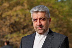 İran Enerji Bakanı Erdekaniyan Tacikistan'da