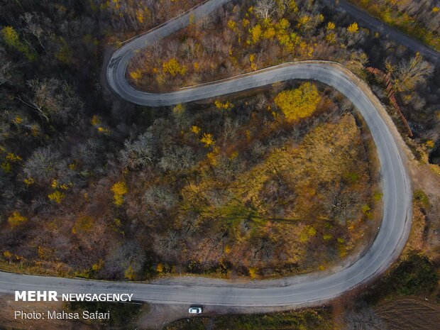 Astonishing bird’s eye view of Hyrcanian forests