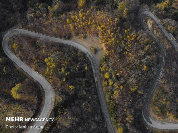 Astonishing bird’s eye view of Hyrcanian forests