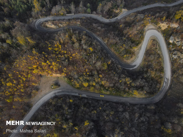 Astonishing bird’s eye view of Hyrcanian forests