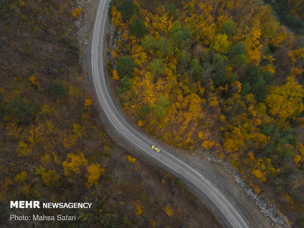 Astonishing bird’s eye view of Hyrcanian forests