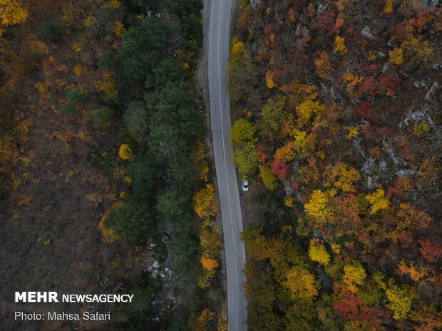 Astonishing bird’s eye view of Hyrcanian forests