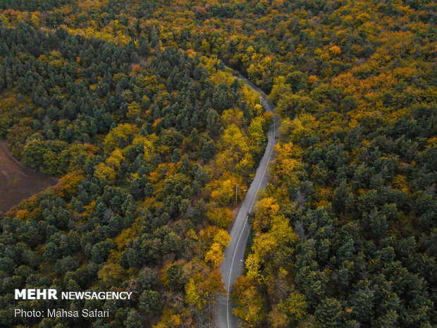 تصاویر هوایی جاده های پاییزی جنگل های هیرکانی