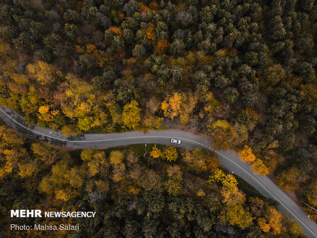 Astonishing bird’s eye view of Hyrcanian forests