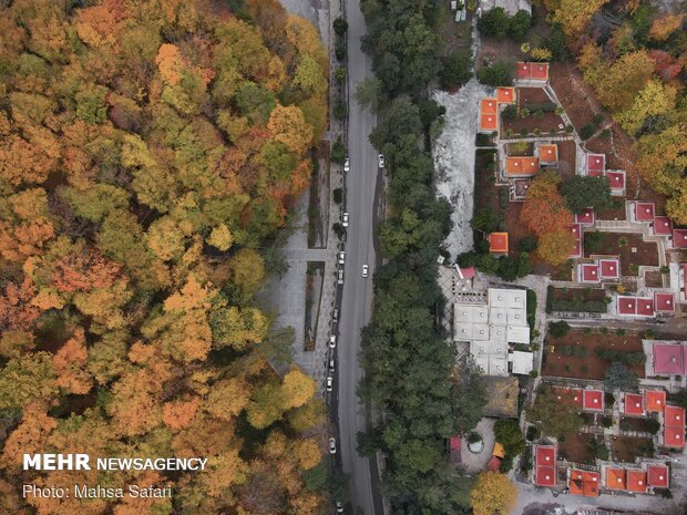 Astonishing bird’s eye view of Hyrcanian forests