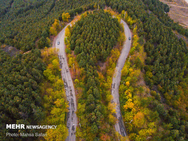 Astonishing bird’s eye view of Hyrcanian forests