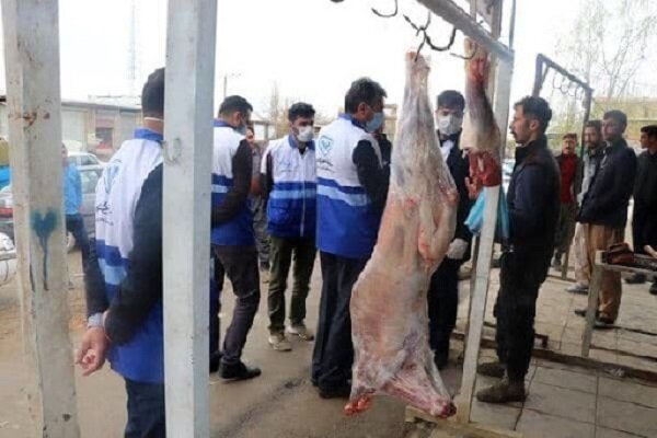 حمایت دادستان بروجرد از دامپزشکی برای مقابله با کشتار غیرمجاز دام