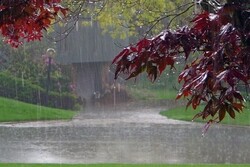 پیش بینی وضعیت جوی کشور تا چهارشنبه/کدام مناطق بارانی است