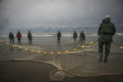 اعلام وضعیت سطح نارنجی در استان هرمزگان