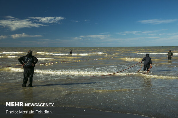 Traditional trawling on Caspian coast of Iran