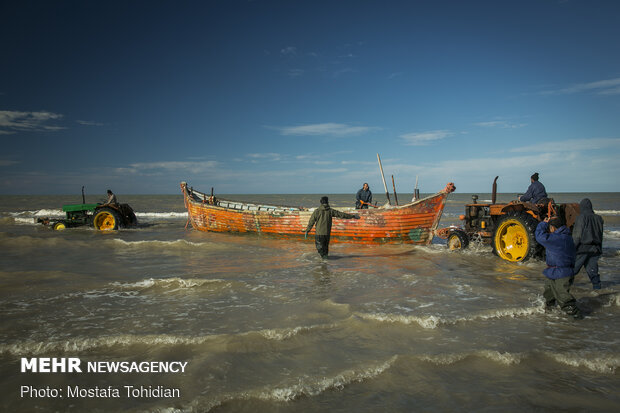 Traditional trawling on Caspian coast of Iran