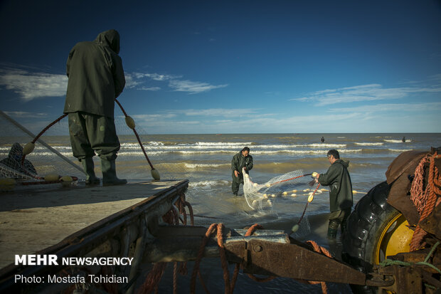 Traditional trawling on Caspian coast of Iran