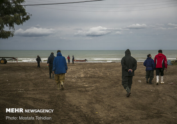 Traditional trawling on Caspian coast of Iran