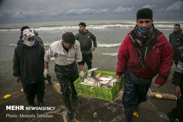 Traditional trawling on Caspian coast of Iran