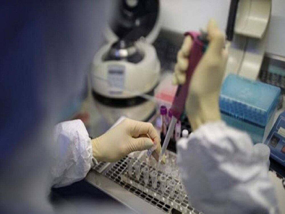 تشخیص ویروس جهش یافته در آزمایشگاه بیمارستان امام/۵۰ هزار تست بدون خطا