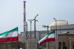 IAEA not want to reduce cooperation with Iran: Grossi