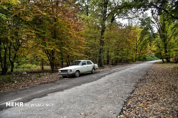 Autumn of a thousand colors in northern Golestan prov.