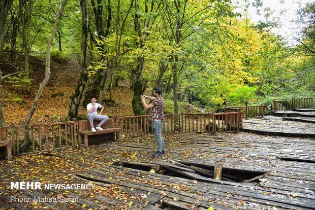 Autumn of a thousand colors in northern Golestan prov.